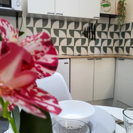 公寓 Botanique Duplex Renove Centre Historique *