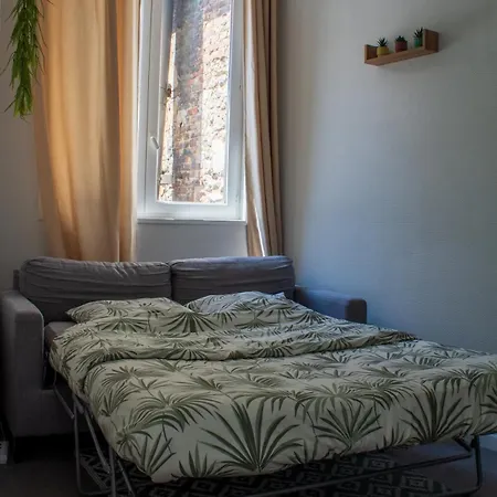 公寓 Botanique Duplex Renove Centre Historique *