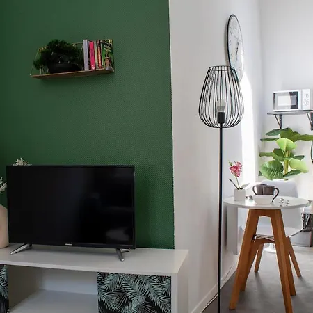 Botanique Duplex Renove Centre Historique 鲁昂